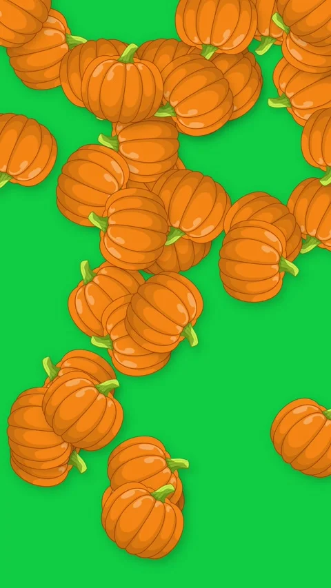Vertical Animation of Cartoon Pumpkins Falling Against a Green Screen Stock Footage 340258905