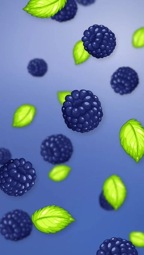 Vertical Animation of Falling Blackberries and Green Mint Leaves Stock Footage 343830652