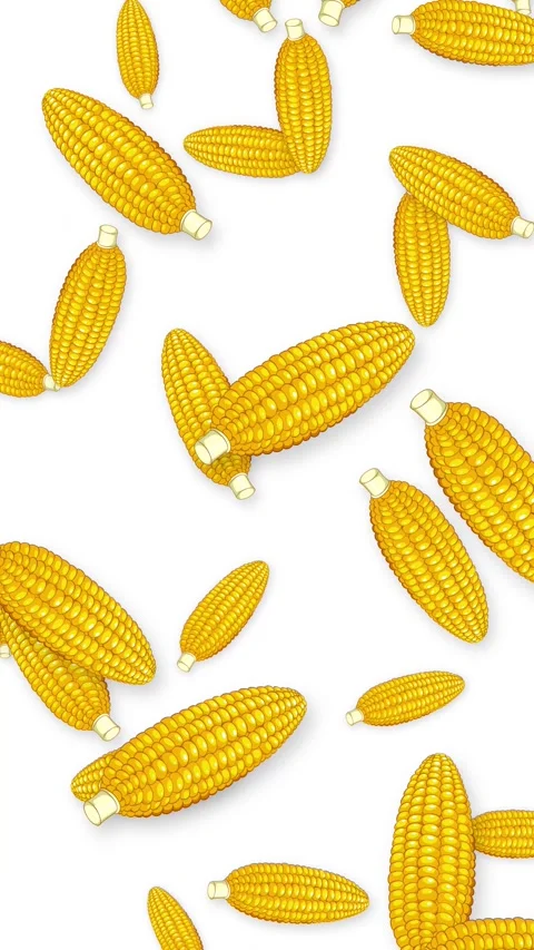Vertical Animation of Falling Corn Cobs on White Background Stock Footage 342314137