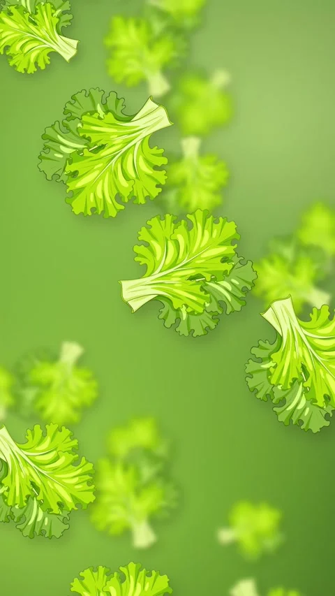 Vertical Animation of Falling Green Lettuce Leaves on Gradient Background Stock Footage 342316209