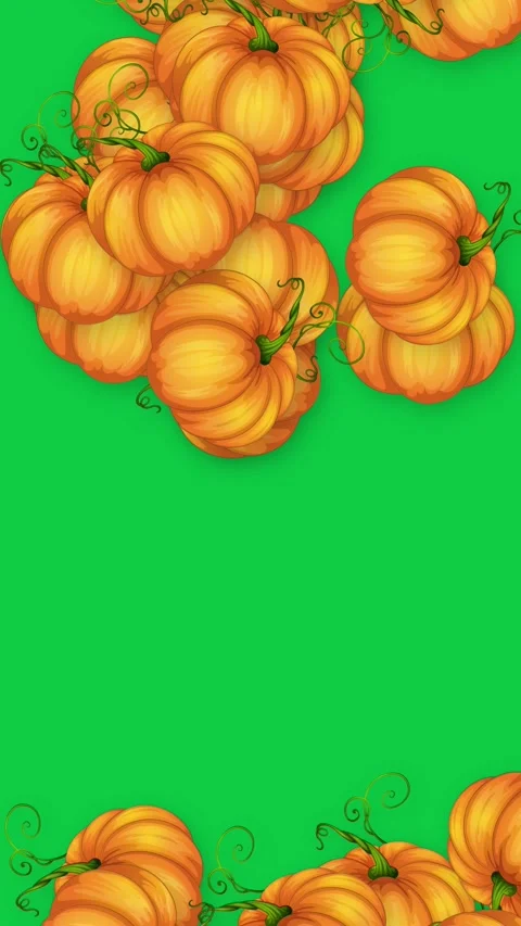 Vertical Animation of Falling Orange Pumpkins on Green Background Stock Footage 340012941