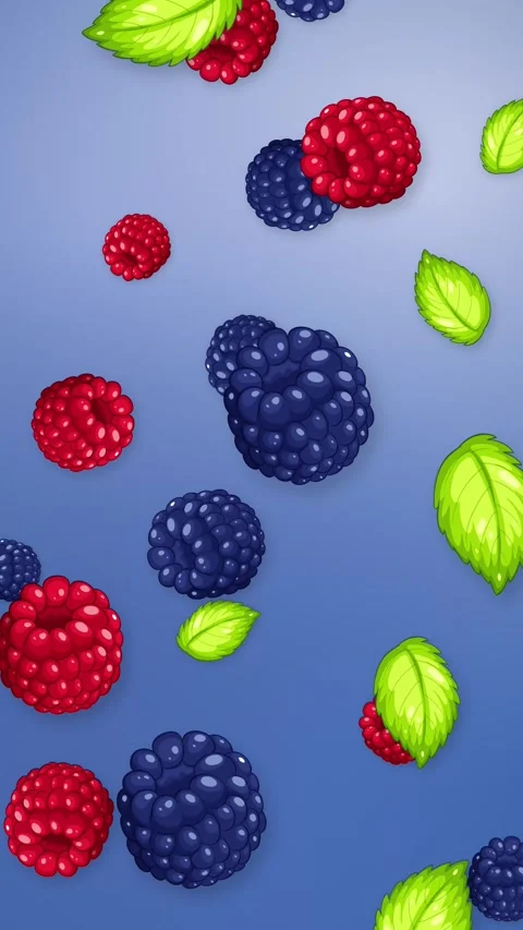 Vertical Animation of Falling Raspberries Blackberries and Mint Leaves Stock Footage 344832212