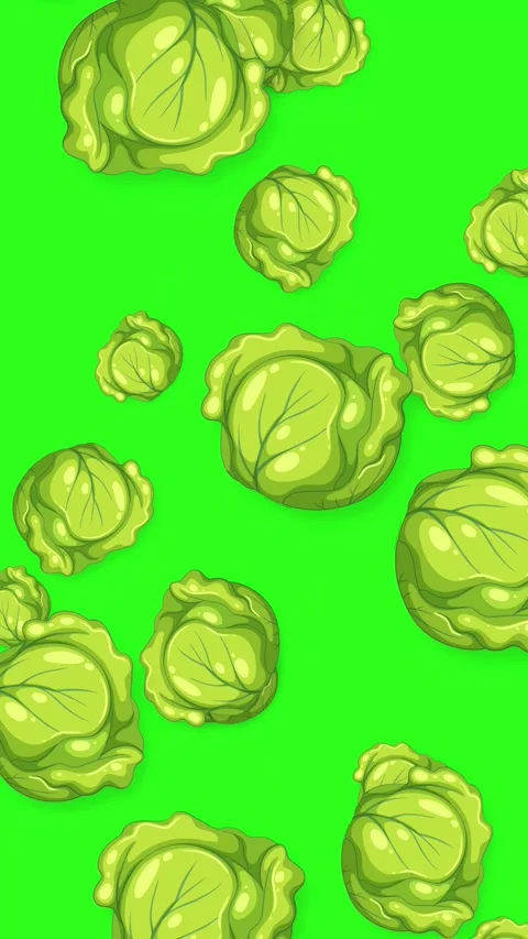 Vertical Animation of Fresh Cabbage Heads Falling on Green Background Stock Footage 342470535