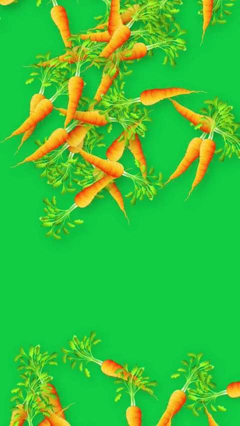 Vertical Animation of Fresh Carrots Falling Against a Green Screen Stock Footage 339515594