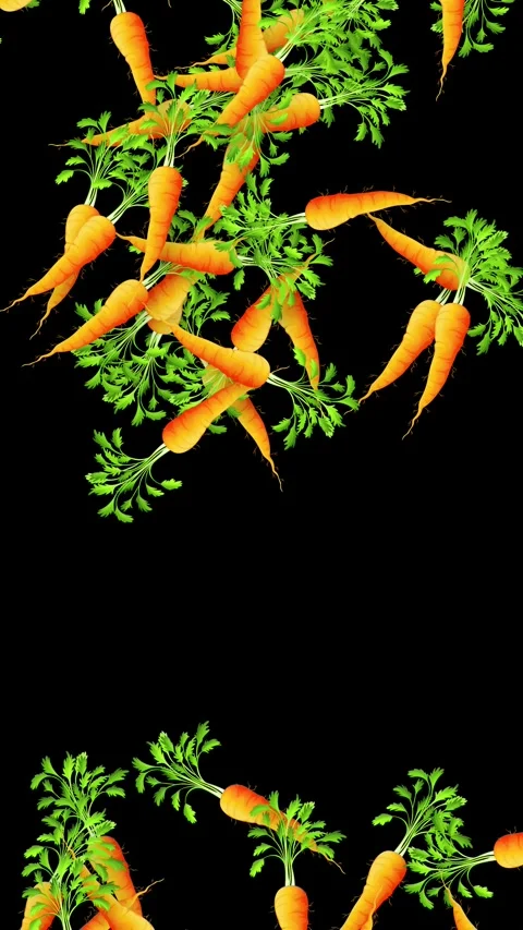 Vertical Animation of Fresh Carrots Falling Against a Black Background Stock Footage 341549365