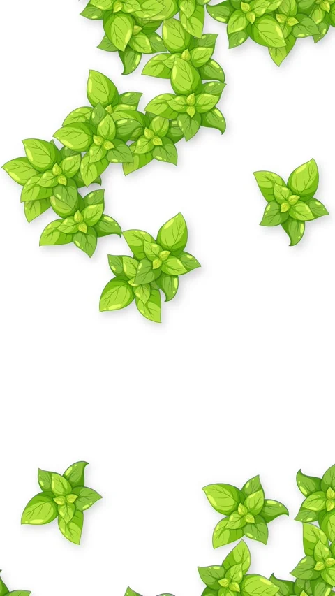 Vertical Animation of Fresh Green Basil Leaves Falling on White Background Stock Footage 341537512