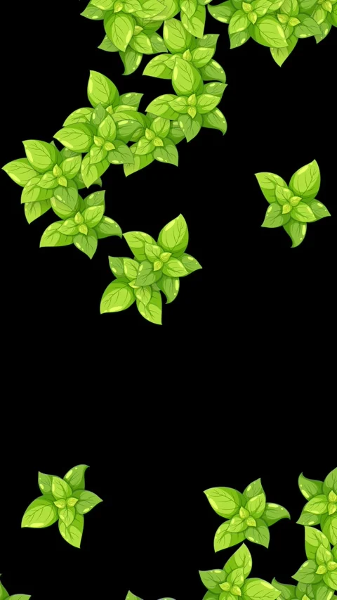 Vertical Animation of Fresh Green Basil Leaves Falling on Black Background Stock Footage 341842154