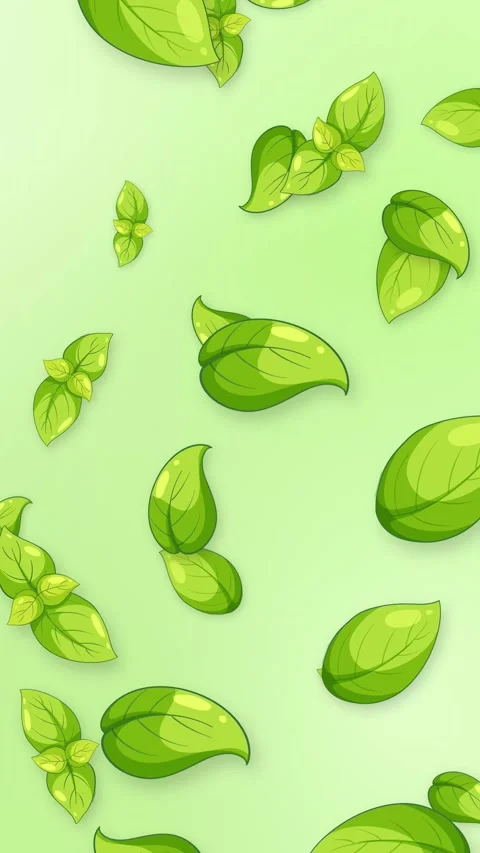 Vertical Animation of Fresh Green Basil Leaves Falling on Light Green Background Stock Footage 342315680
