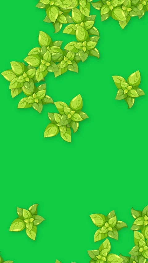 Vertical Animation of Fresh Green Basil Leaves Falling Over Green Background Stock Footage 342320272