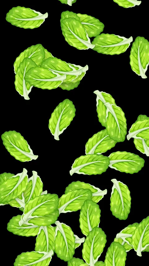 Vertical Animation of Fresh Green Mint Leaves Falling on Black Background Stock Footage 339529015
