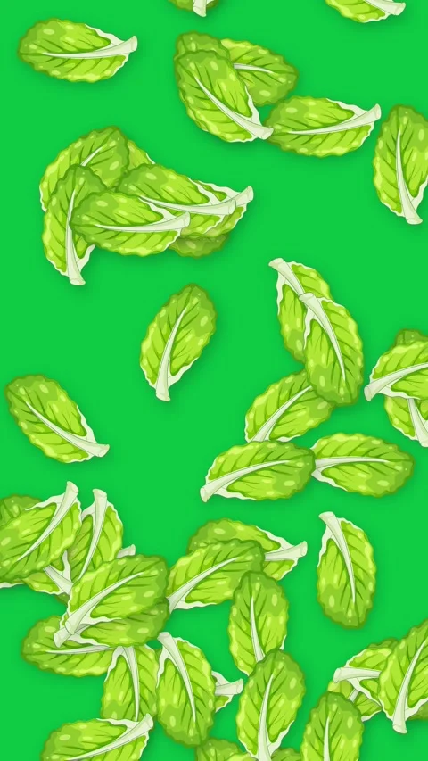 Vertical Animation of Fresh Green Mint Leaves Falling on Green Background Stock Footage 339529107