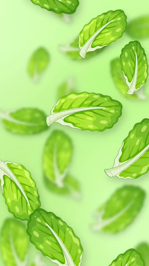 Vertical Animation of Fresh Green Mint Leaves Falling on Light Background Stock Footage 346427559