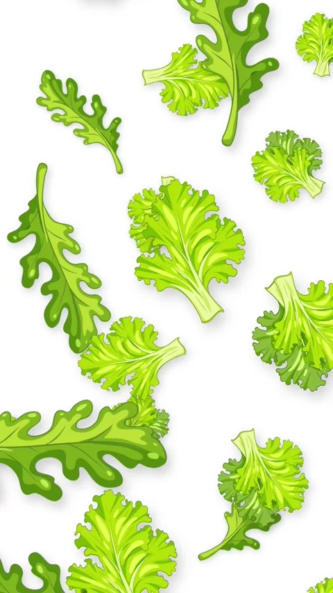 Vertical Animation of Fresh Green Salad Leaves Falling on White Background Stock Footage 342314874