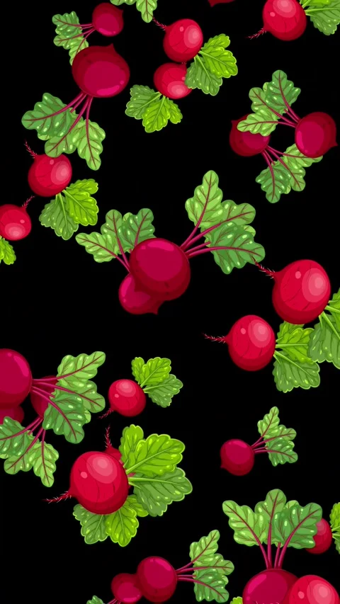 Vertical Animation of Fresh Red Beetroots Falling on Black Background Stock Footage 342118214