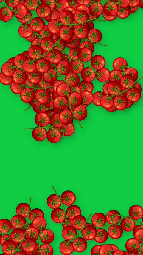 Vertical Animation of Fresh Red Cherry Tomatoes Falling on Green Background Stock Footage 341307999