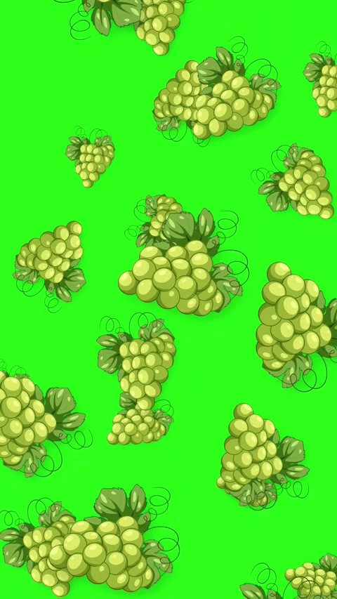 Vertical Animation of Green Grape Bunches Falling on Green Screen Stock Footage 344850781