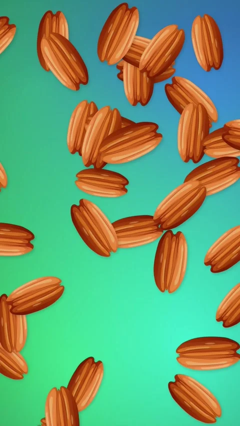 Vertical Animation of Pecan Nuts Falling Over Blue and Green Gradient Stock Footage 345206711