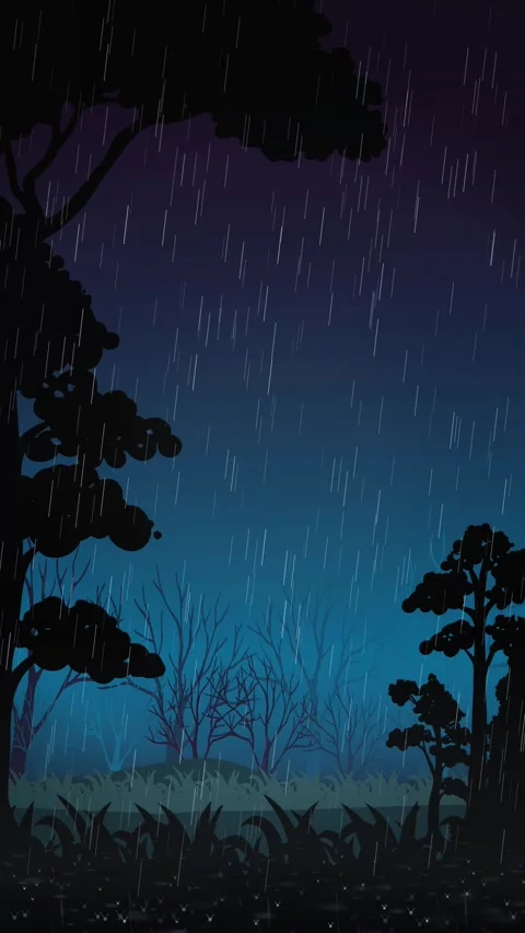 Vertical Animation of Rain Falling in a Dark Forest at Night Stock Footage 342721672