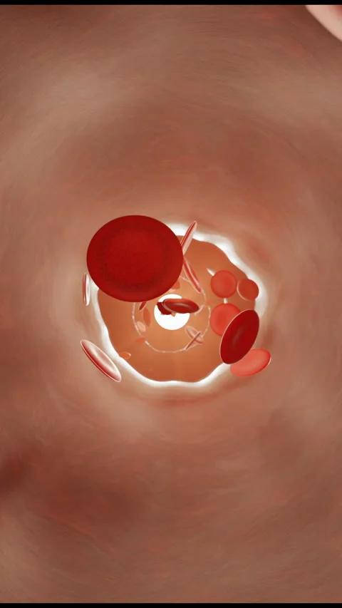 Vertical Animation of Red Blood Cells Flowing Inside Human Artery – Medical Stock Footage 335386121