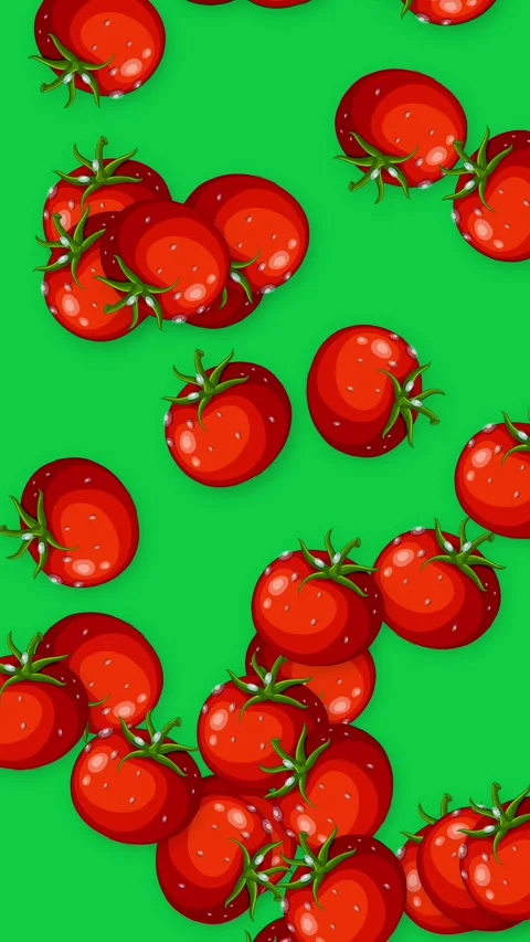 Vertical Animation of Ripe Red Cherry Tomatoes Falling on Green Background Stock Footage 341307711