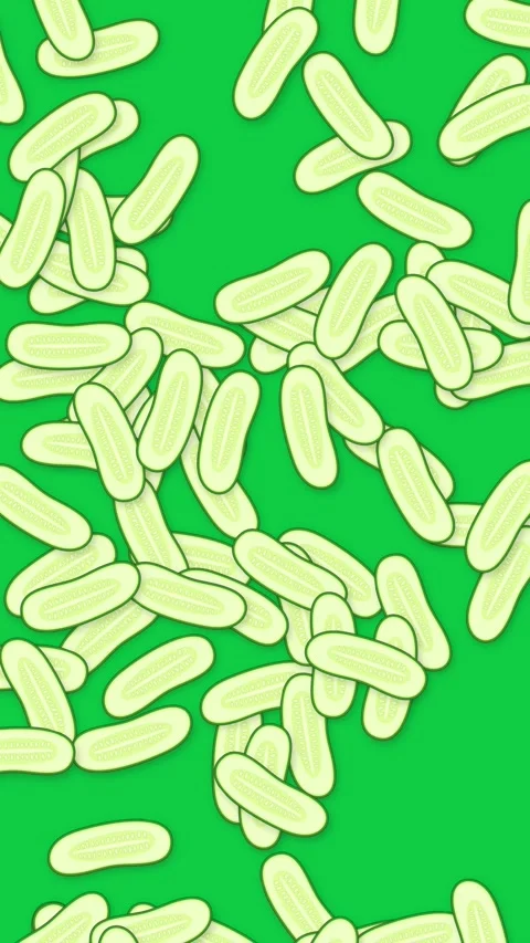 Vertical Animation of Sliced Cucumbers Falling Against a Solid Green Background Stock Footage 342099811