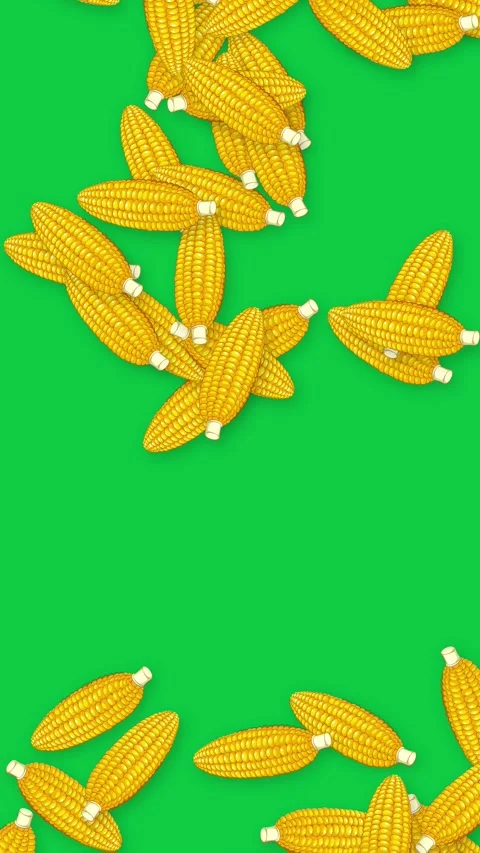 Vertical Animation of Yellow Corn Cobs Falling on Green Background Stock Footage 340195317