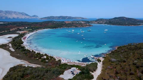 Vertical Ascending Drone Shot Over Cala Brandinchi Beach, Sardinia Stock Footage 313548810