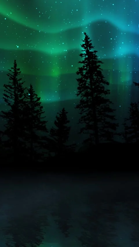 Vertical Aurora Borealis Lights over Pine Forest Silhouette 4K Loop Video stock 274408011