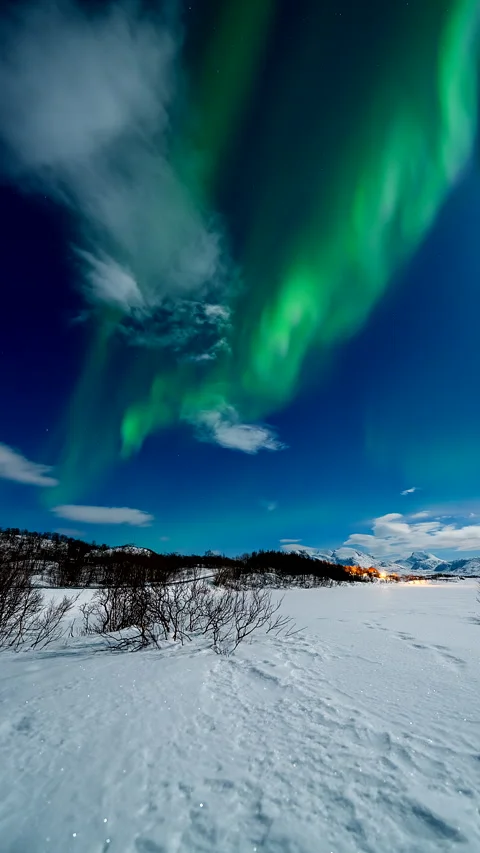 Vertical Aurora Borealis Timelapse Over Snowy Arctic Winter Landscape Stock Footage 344363934