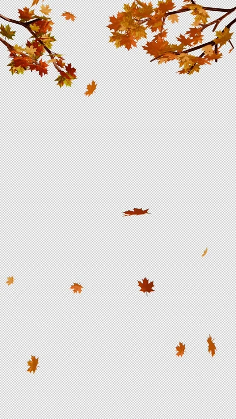 Vertical Autumn Motion Background with Gentle Falling Leaves Stock Footage 338314737