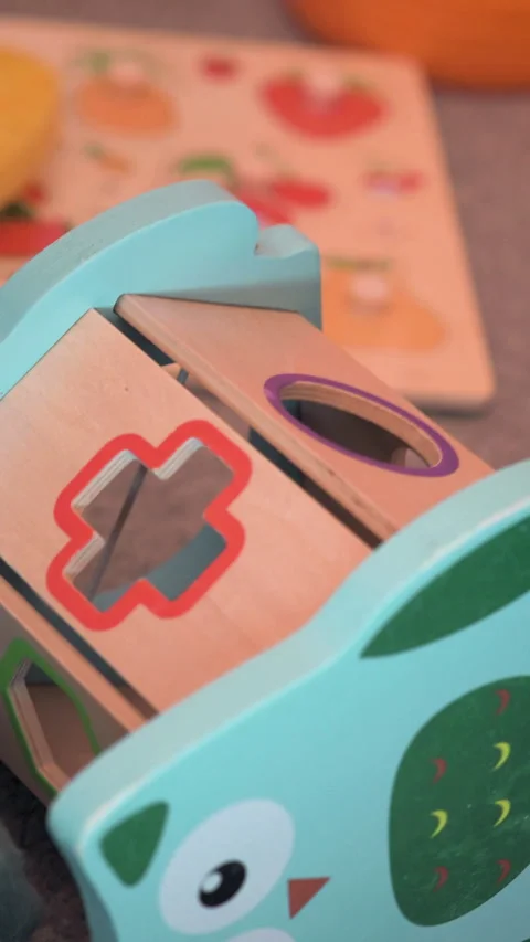 Vertical Baby Struggles To Put Red Block In Shape Sorter Stock Footage 329370413