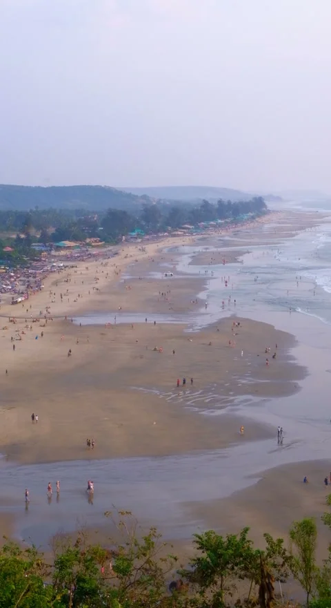 Vertical Background evening low tide on Arambol beach Video stock 121529623