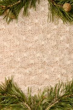 Vertical background frame of pine branches with closed cones on a light knitted Stock Photos