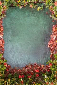 Vertical background green concrete texture with tropical leaves Punta Cana 库存照片