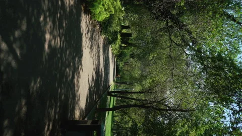 Vertical background static forest pathway with sun rays shining through tree Stock Footage 201307060