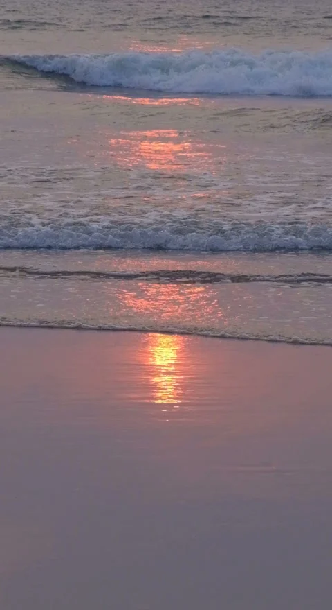 Vertical Background Sunset on sandy beach Video stock 121530021
