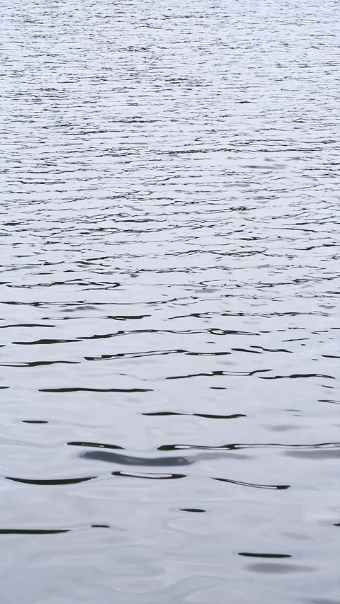 Vertical background texture of multiple tiny waves moving on water surface Stock Footage 344047422