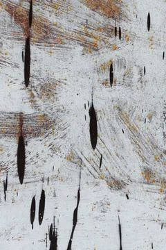 The vertical background texture of the old iron painted with white paint with Stock Photos