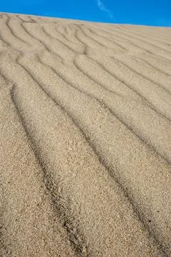 Vertical background with a texture os sand Stock Photos