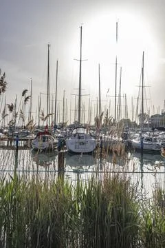 Vertical Backlit View of Tihany Sailing School Port Stock Photos