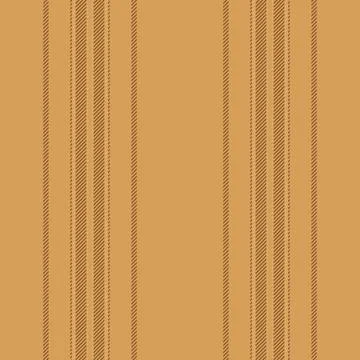 Vertical bands create a premium stripe design with decorative character and r Ilustração Stock