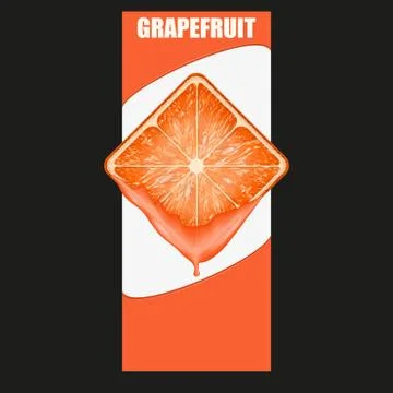 Vertical banner of grapefruit square slice. space for text. vector Illustrazione stock