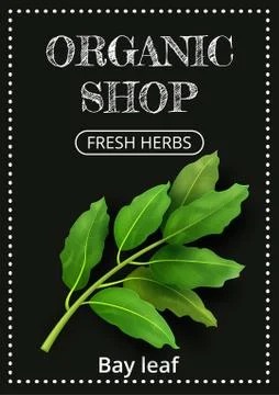 Vertical banner with a realistic bay leaf on coated chalk background. Fresh Stock Illustration