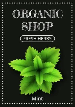 Vertical banner with a realistic mint on coated chalk background. Fresh herbs Stock Illustration