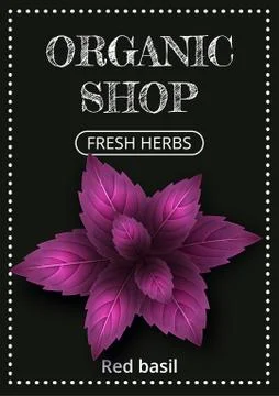 Vertical banner with a realistic red basil on coated chalk background. Fresh Stock Illustration