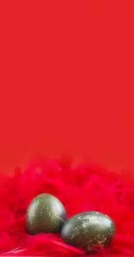 Vertical banner with steel colored Easter eggs in red feathers Stock Photos