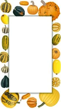 Vertical banner. Winter squash. Cucurbita pepo Stock Illustration