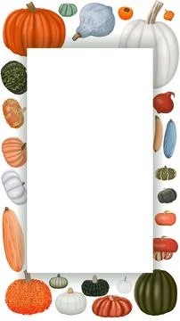 Vertical banner. Winter squash. Cucurbita maxima Illustrazione stock