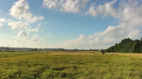 Vertical Beach Grass Swaying by Ocean Coast at Sunset Stock Footage 340416325
