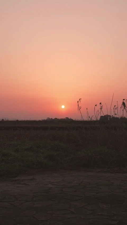 Vertical-Beautiful Red Sunrise over Rural Field Vídeos de archivo 331677180